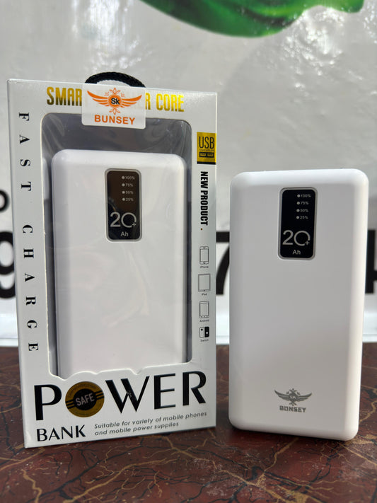 20000 mAh multi-port power bank with 20W Power Delivery